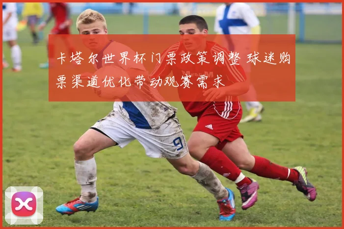 卡塔尔世界杯门票政策调整 球迷购票渠道优化带动观赛需求