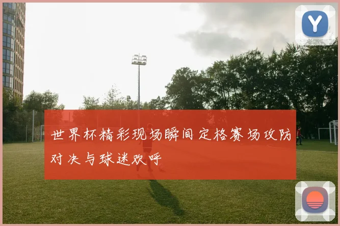 世界杯精彩现场瞬间定格赛场攻防对决与球迷欢呼