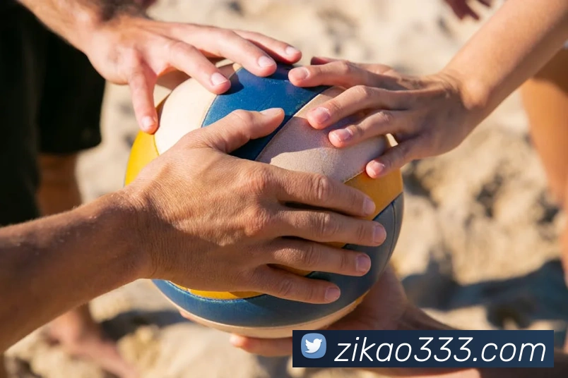 926体育app官网下载服务体系